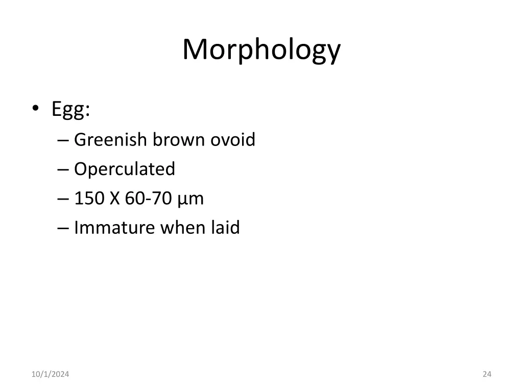 morphology 3