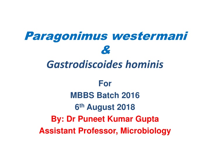 paragonimus westermani gastrodiscoides hominis