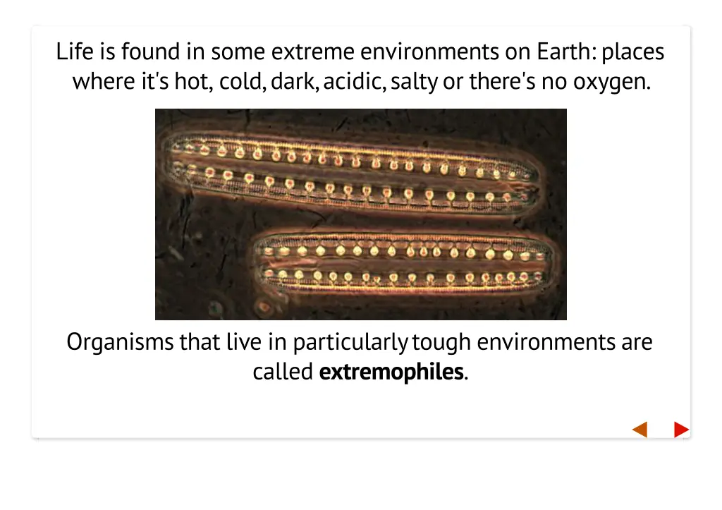 life is found in some extreme environments