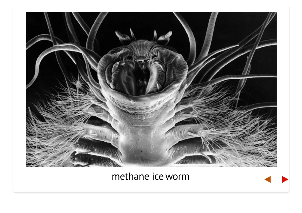 methane iceworm