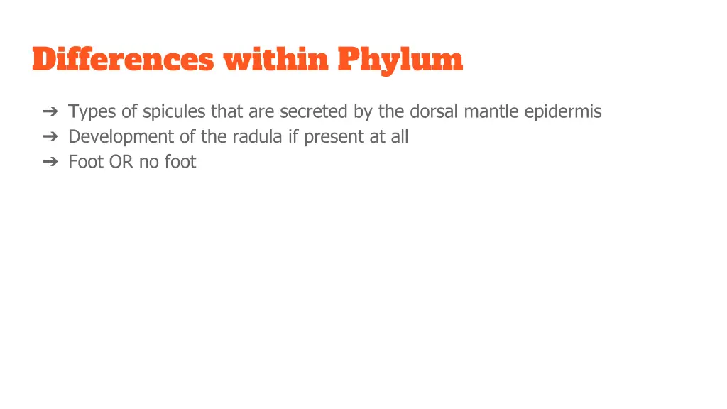 differences within phylum