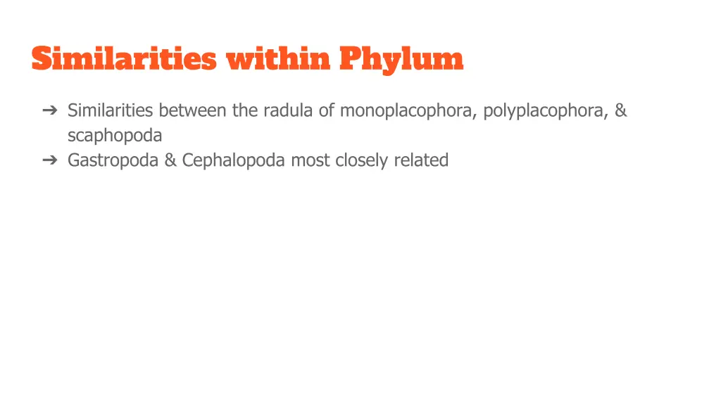 similarities within phylum