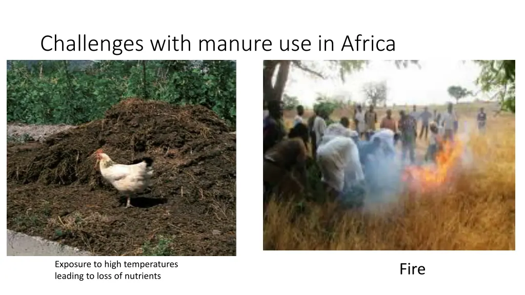 challenges with manure use in africa