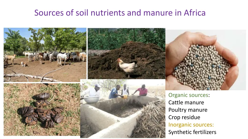 sources of soil nutrients and manure in africa