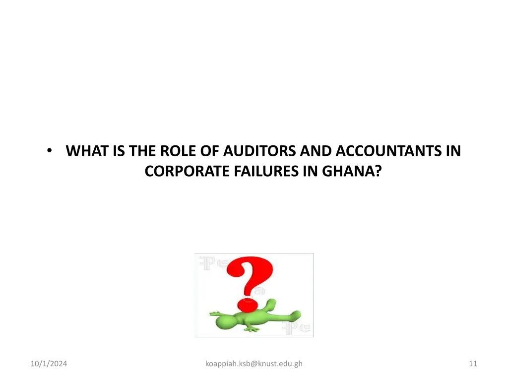 what is the role of auditors and accountants