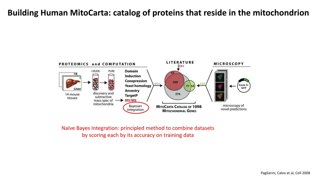 building human mitocarta catalog of proteins that