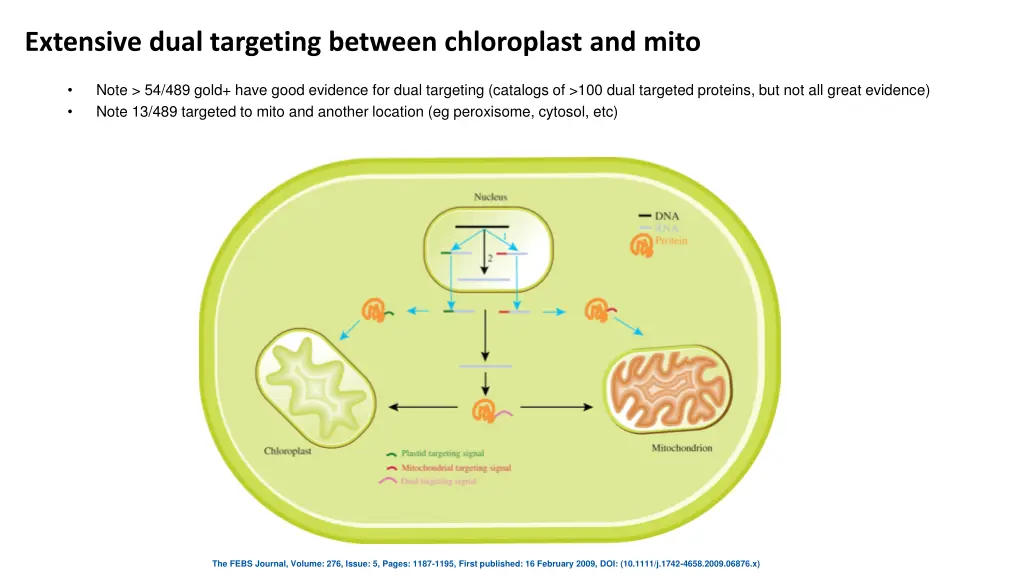 extensive dual targeting between chloroplast