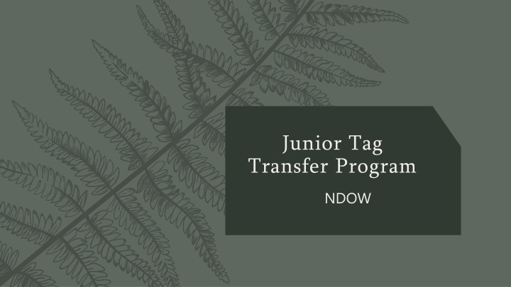 junior tag transfer program