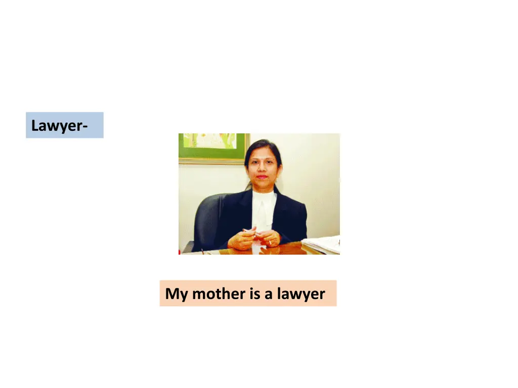 lawyer