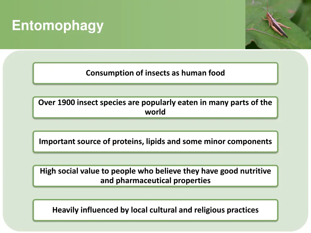 entomophagy