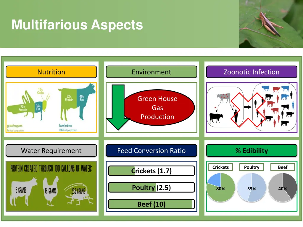 multifarious aspects