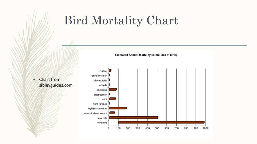 bird mortality chart