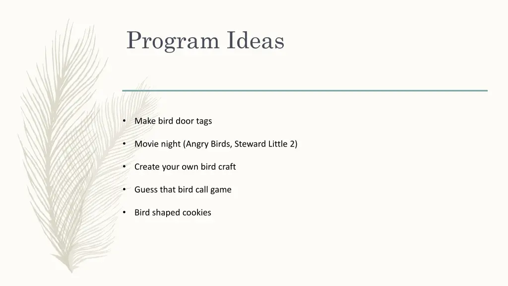 program ideas