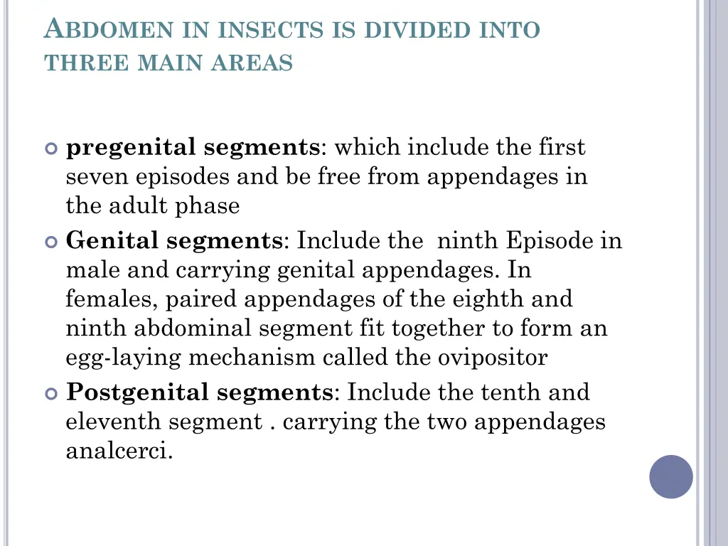 a bdomen in insects is divided into three main