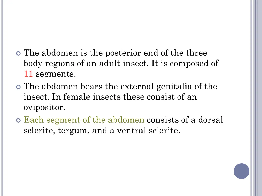 the abdomen is the posterior end of the three