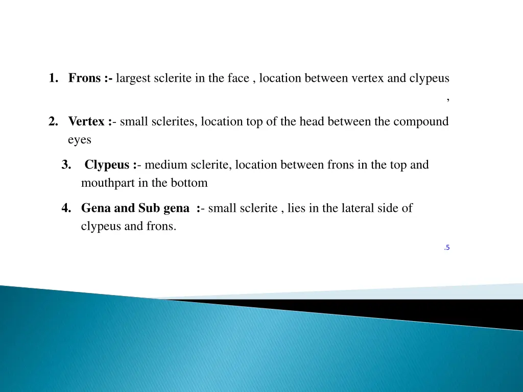 1 frons largest sclerite in the face location