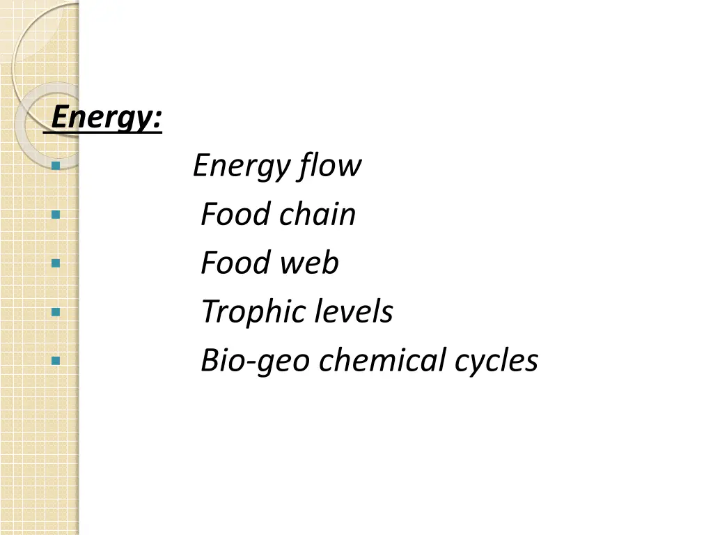 energy energy flow food chain food web trophic