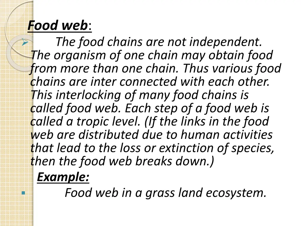 food web the food chains are not independent