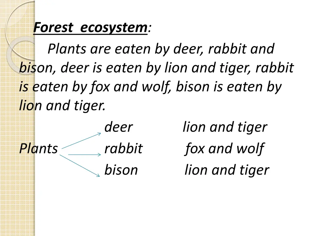 forest ecosystem plants are eaten by deer rabbit