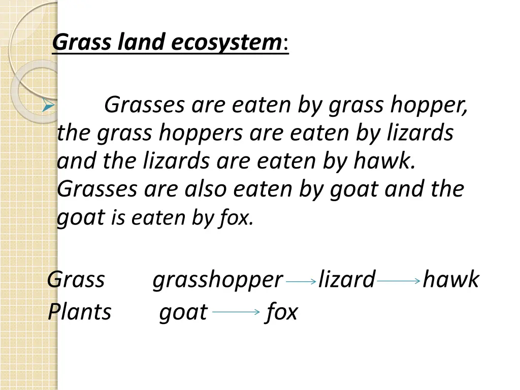 grass land ecosystem