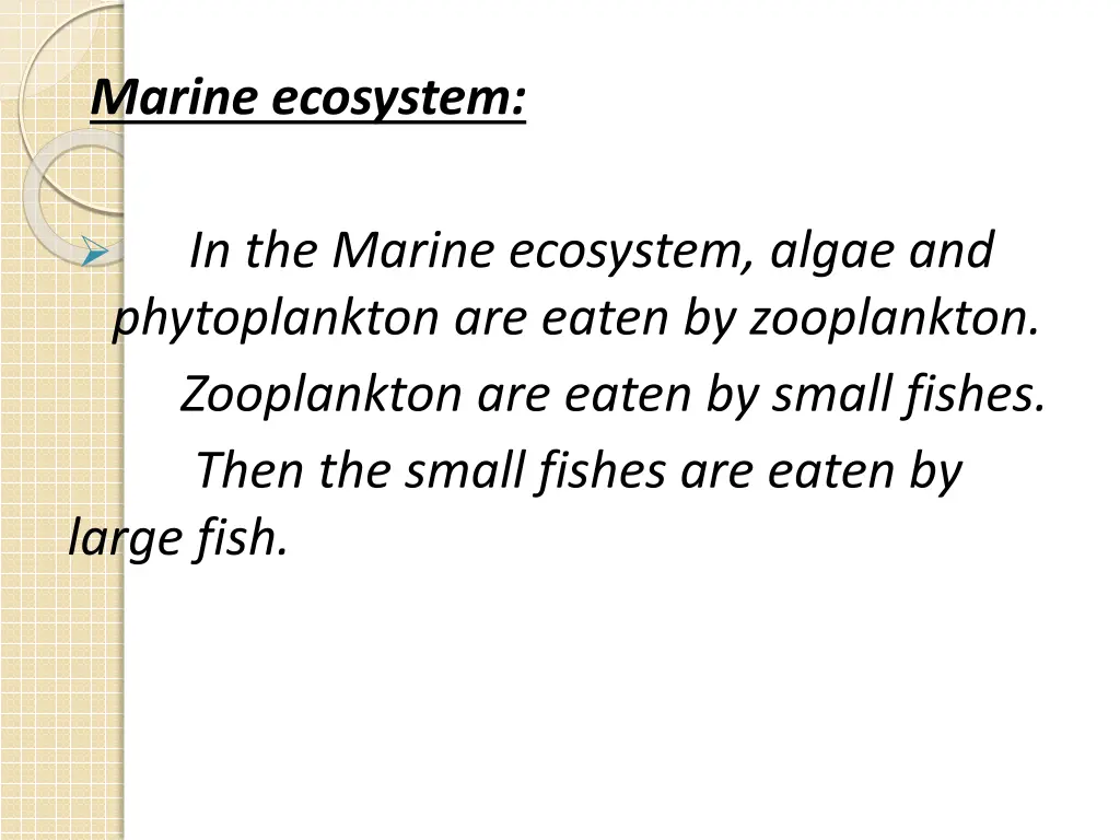 marine ecosystem