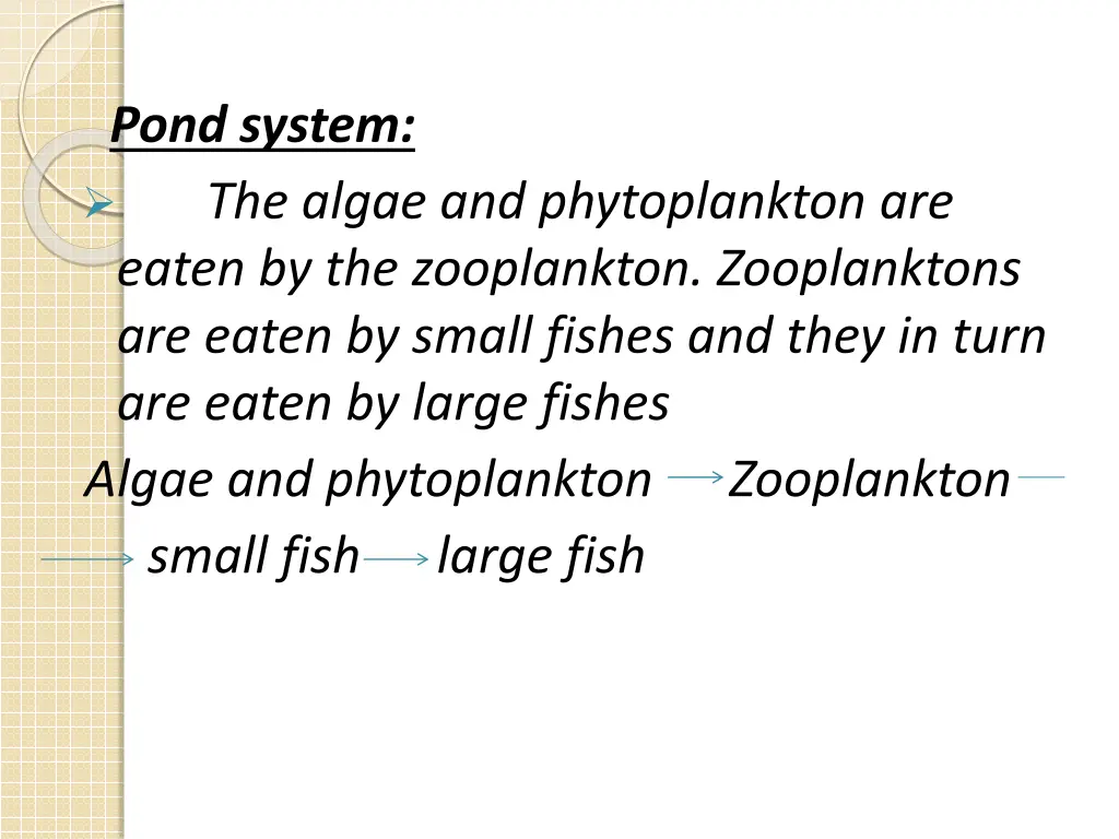 pond system the algae and phytoplankton are eaten