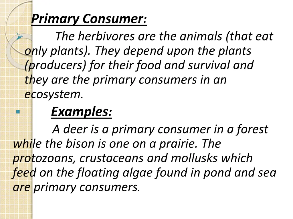 primary consumer the herbivores are the animals