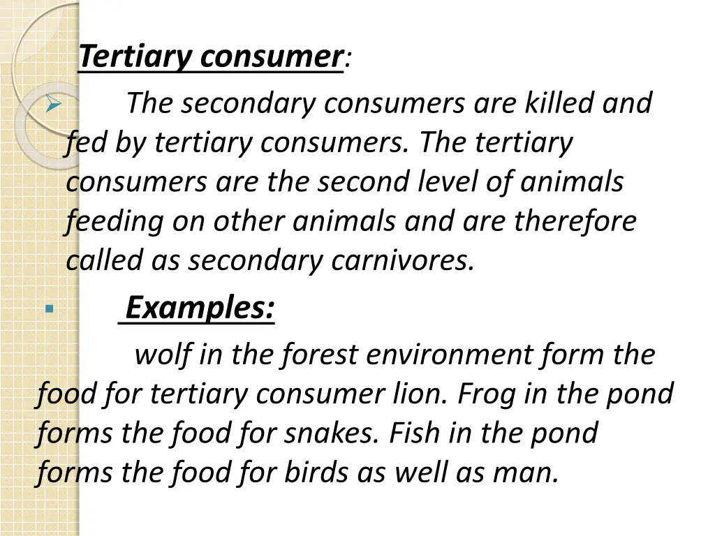 tertiary consumer the secondary consumers