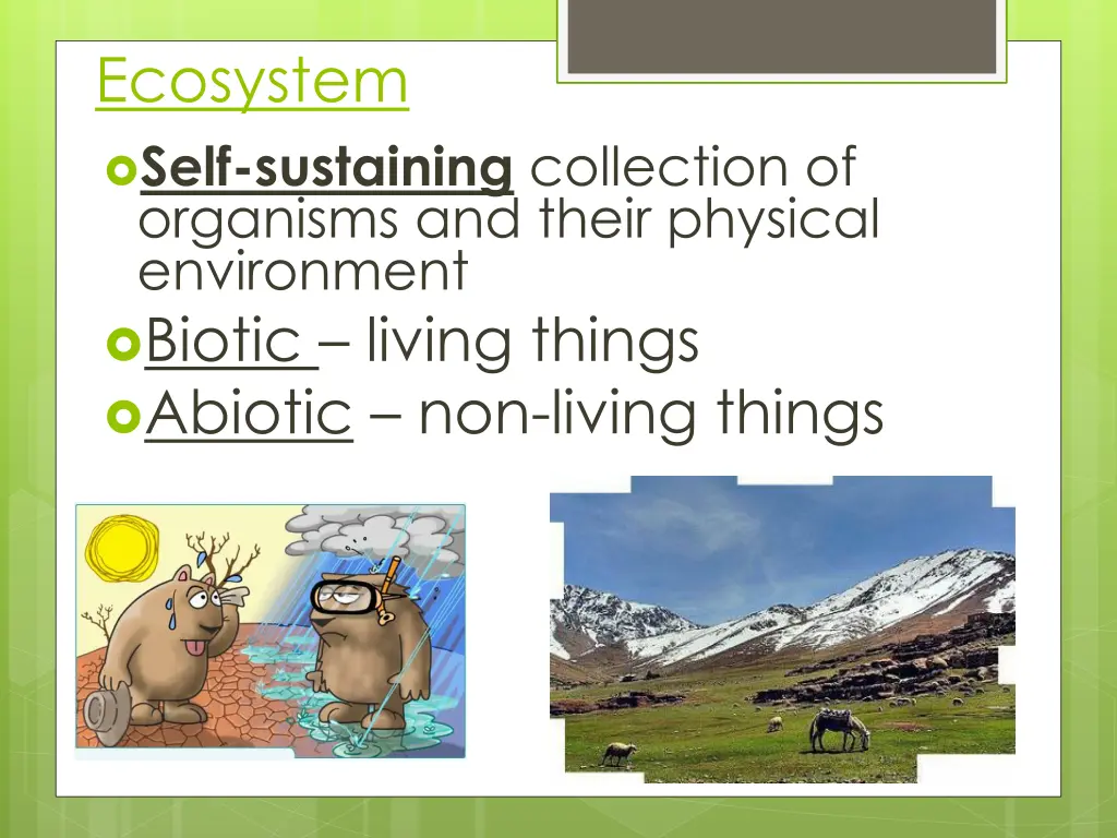 ecosystem self sustaining collection of organisms