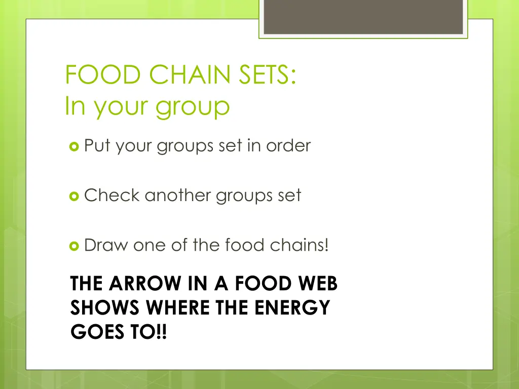 food chain sets in your group