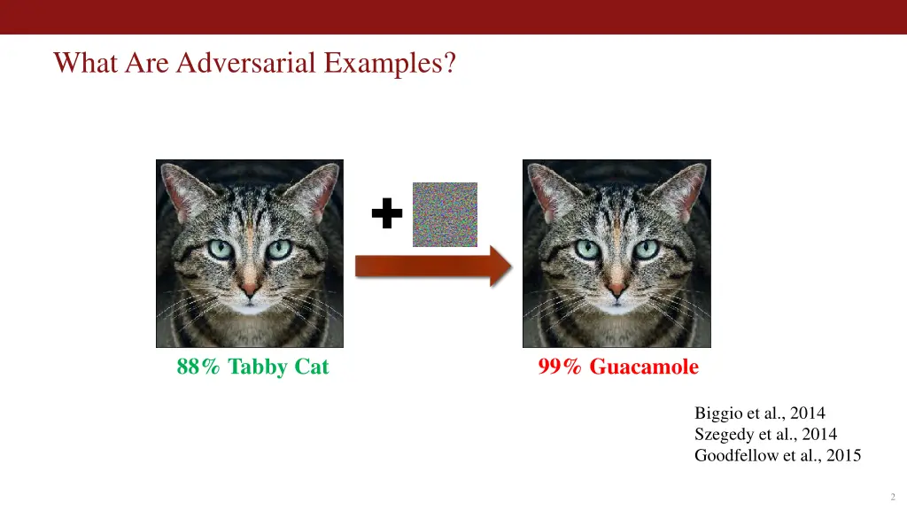 what are adversarial examples