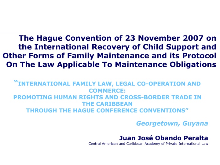 the hague convention of 23 november 2007