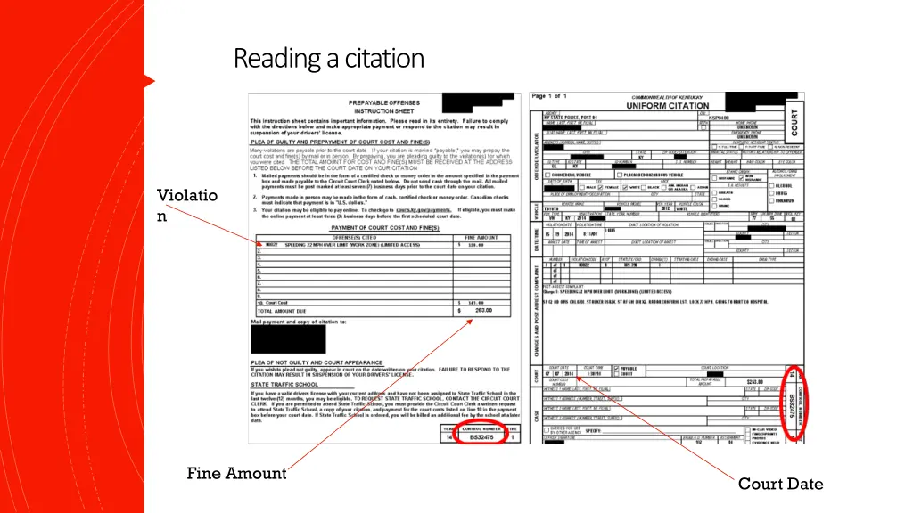 reading a citation