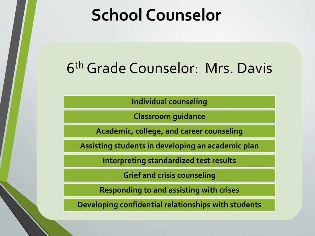 school counselor