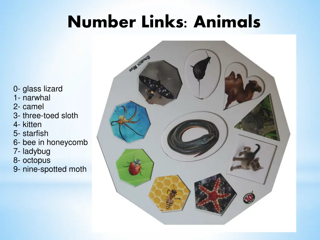 number links animals