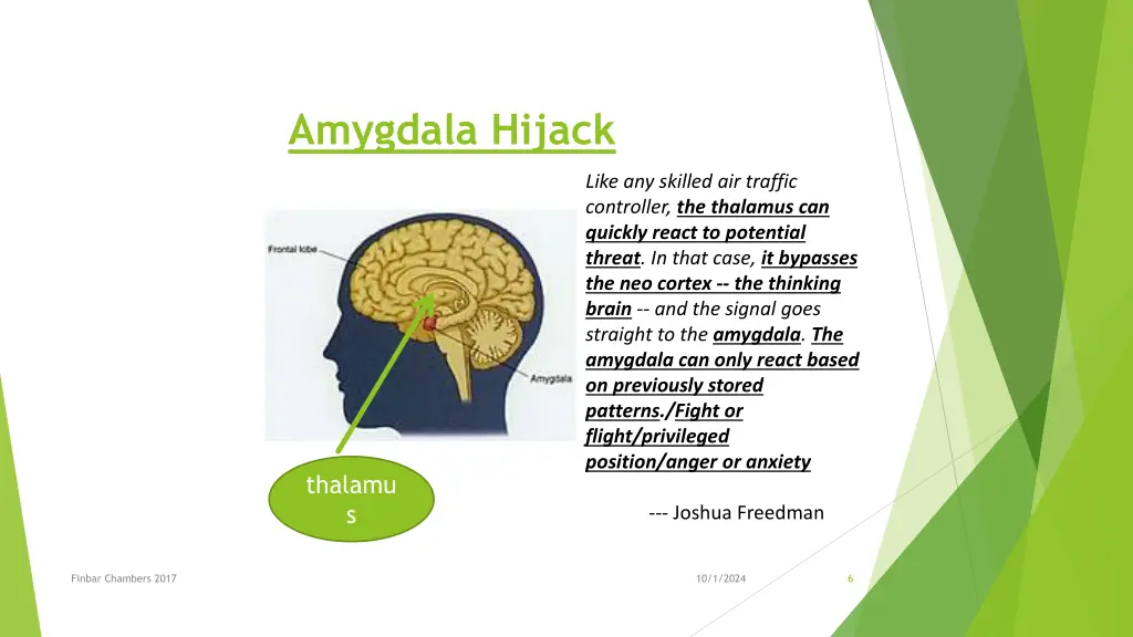 amygdala hijack