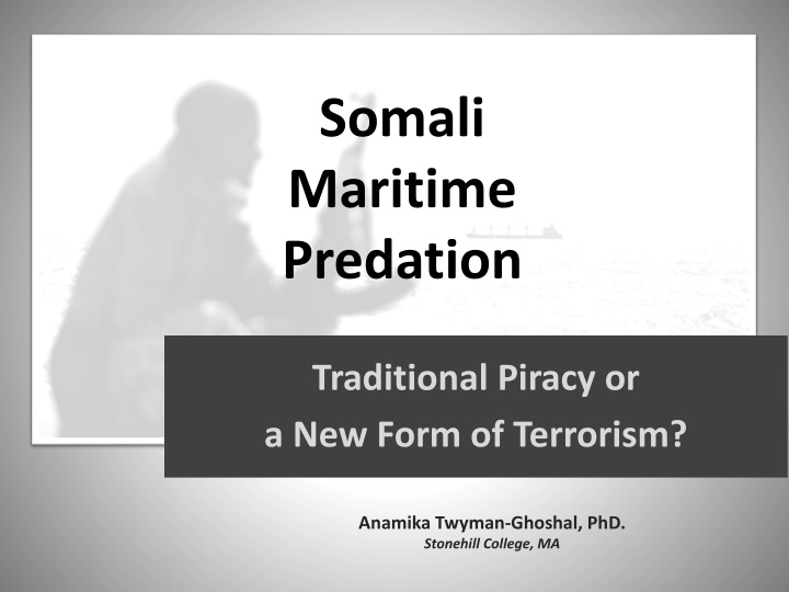 somali maritime predation