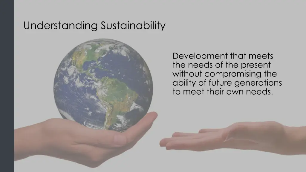 understanding sustainability