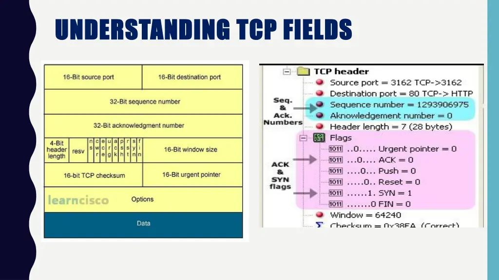 understanding understanding tcp