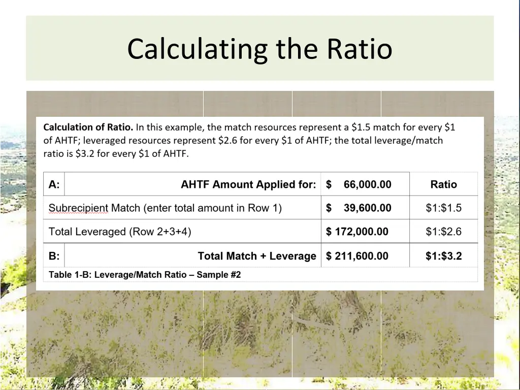 calculating the ratio 1