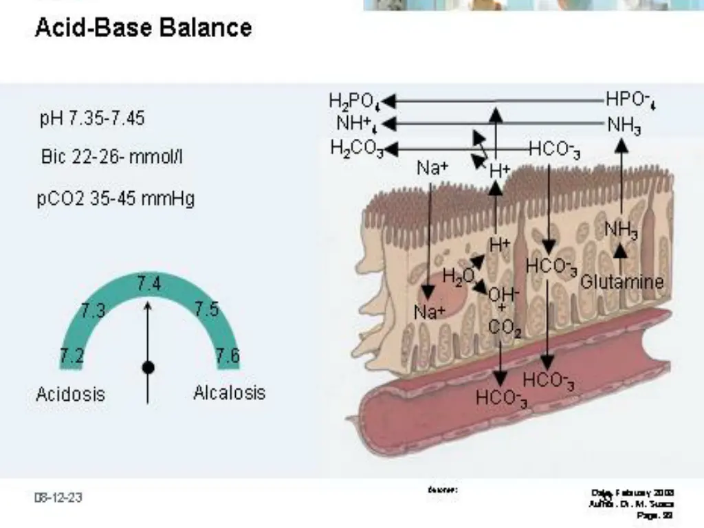 slide6