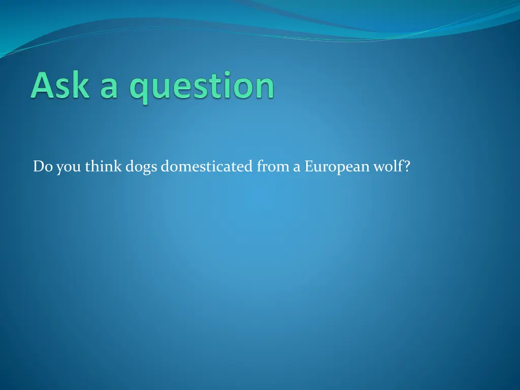 do you think dogs domesticated from a european