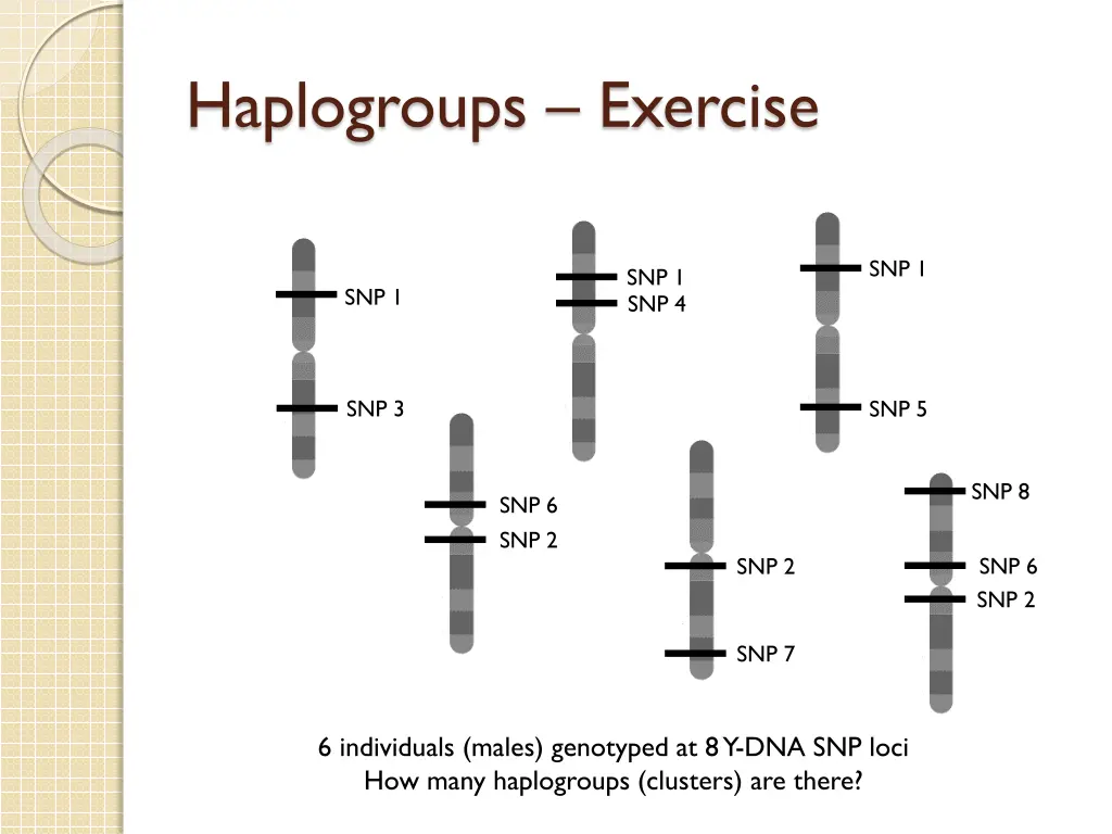 haplogroups exercise