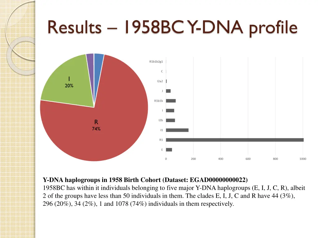 results 1958bc y dna profile