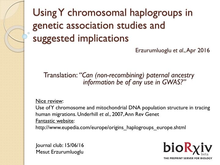 using y chromosomal haplogroups in genetic