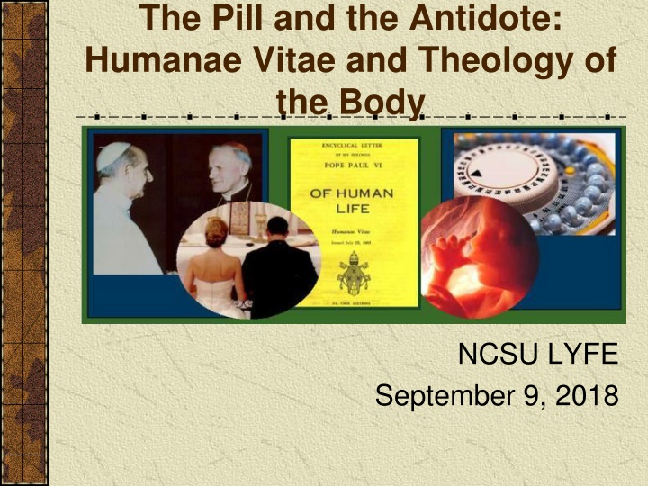 the pill and the antidote humanae vitae