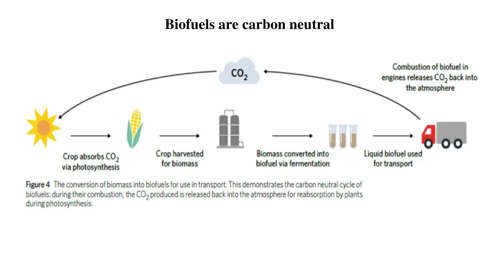 biofuels are carbon neutral