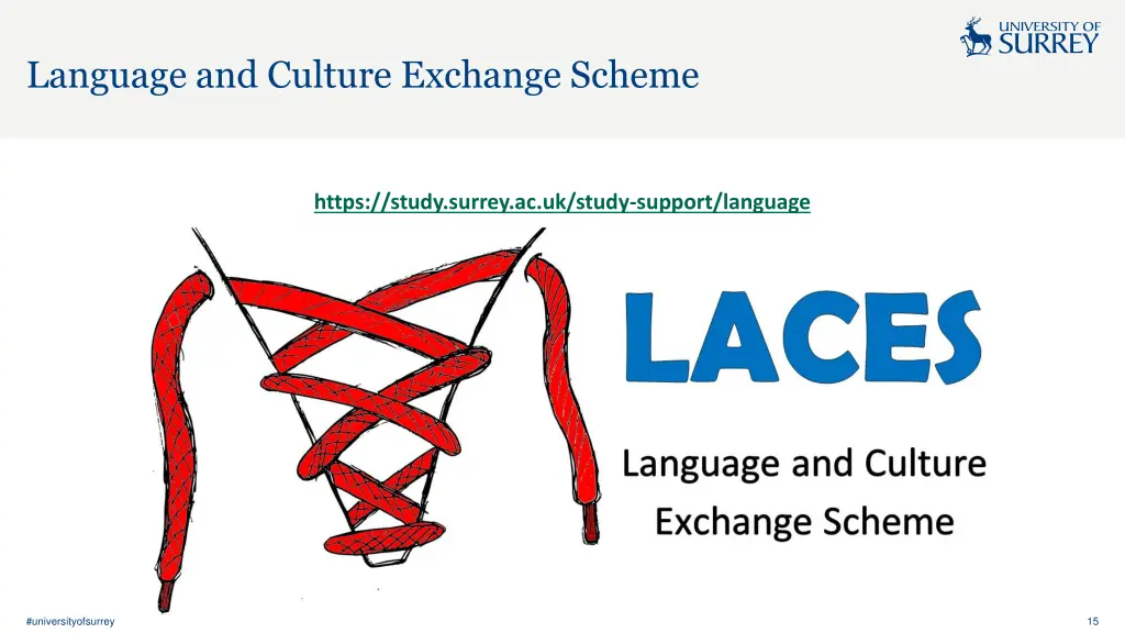 language and culture exchange scheme