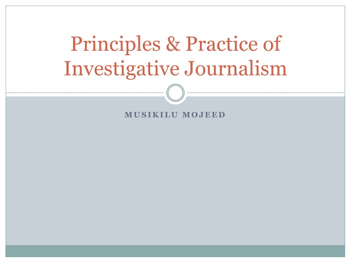 principles practice of investigative journalism