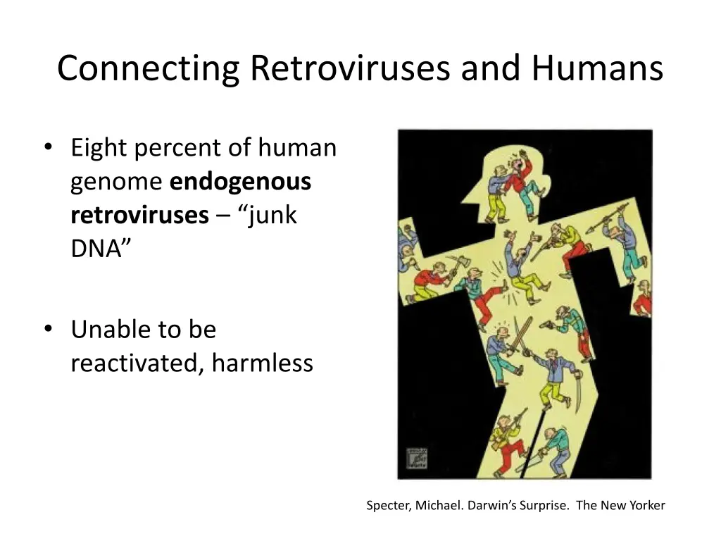 connecting retroviruses and humans